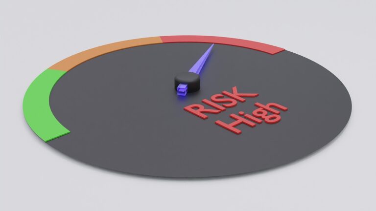 ניהול סיכונים ונכסים יקרי ערך